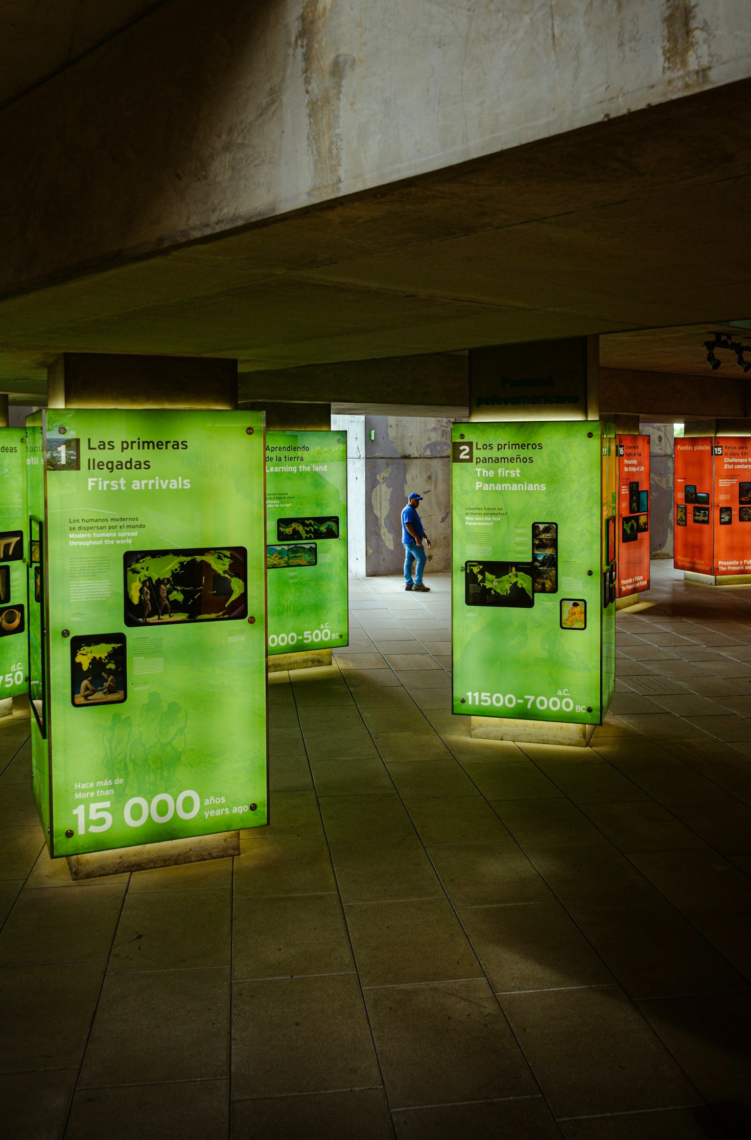 Boosting Brand Visibility with Custom Exhibition Stands